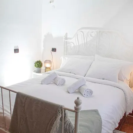 Holiday home La Macadamia La Laguna (Tenerife)