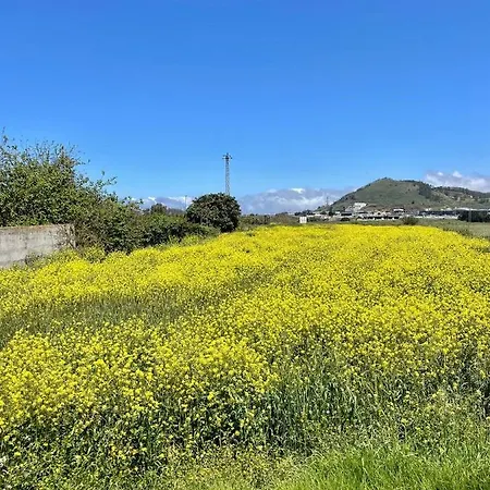 La Macadamia * La Laguna (Tenerife)