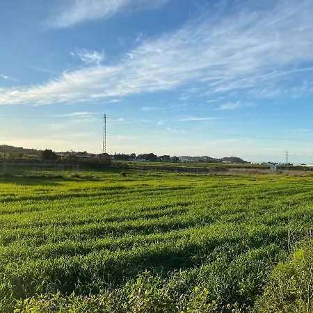 La Macadamia La Laguna (Tenerife)