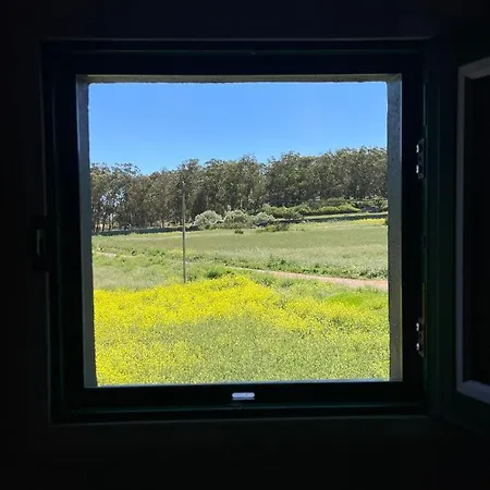 Сasa de vacaciones La Macadamia La Laguna (Tenerife)